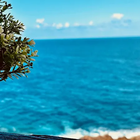 Daire Un Mar Azul Que Brilla